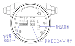 熱式氣體質(zhì)量流量計(圖10)